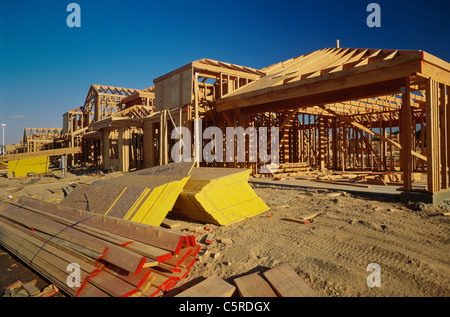 Costruzione in casa Foto Stock