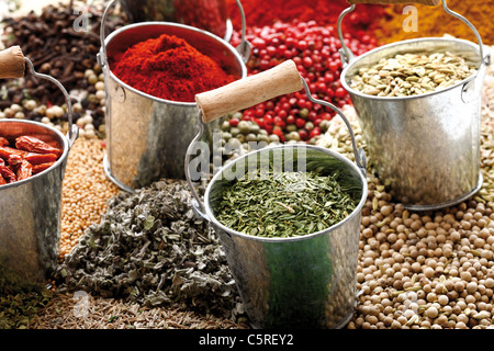 Una selezione di spezie nel bucket di zinco, close-up Foto Stock