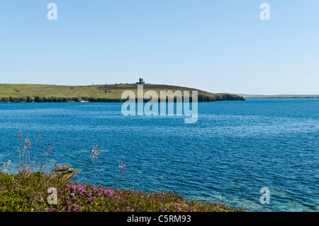 Dh Stanger capo FLOTTA ORKNEY Flotta Costa Sud e tempo di guerra rovine della batteria Foto Stock