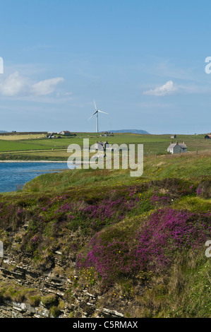 dh Kirk Bay FLOTTA ORKNEY Flotta costa sud villaggio vento turbine isole uk isola singola torre turbina a vento remoto Foto Stock