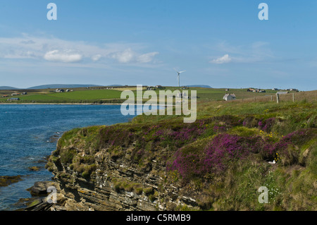 dh Kirk Bay FLOTTA ORKNEY Flotta costa sud villaggio turbina eolica Isola scozzese Foto Stock