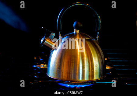 Un recipiente riempito con acqua bollente su una stufa a propano lasciando che il vapore fuori il suo sibilo il tubo di lancio Foto Stock