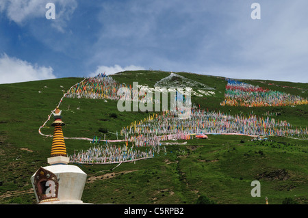 Preghiera tibetano bandiere sul lato del coperchio di una collina. Tagong, Sichuan, in Cina. Foto Stock