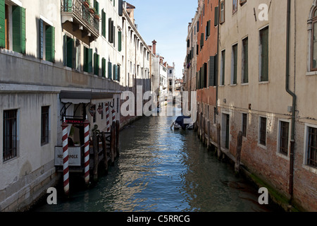 Venezia, gli stretti canali tra i vecchi edifici storici. I fiori sul davanzale della finestra. Barre di protezione su Windows. Foto Stock