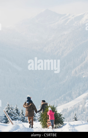 L'Austria, paese di Salisburgo, Flachau, vista della famiglia portando ad albero di natale e la slitta nella neve Foto Stock