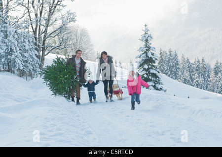 L'Austria, paese di Salisburgo, Flachau, vista della famiglia portando ad albero di natale e la slitta nella neve Foto Stock