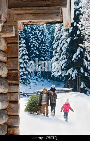 L'Austria, paese di Salisburgo, Flachau, vista della famiglia portando ad albero di natale e la slitta nella neve Foto Stock