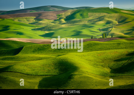 Il rotolamento Palouse paesaggio come visto da Steptoe Butte parco dello stato nello stato di Washington, USA Foto Stock