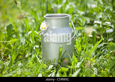 Germania, Close up del bidone di latte con daisy sull'erba Foto Stock