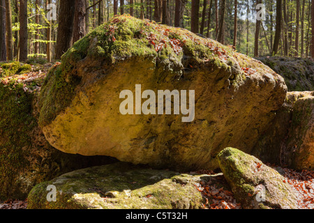 Germania Baviera Franconia Alta Franconia Svizzera Francone Pottenstein Druidenhain Wohlmannsgesees Moss cresce anche su roccia Foto Stock