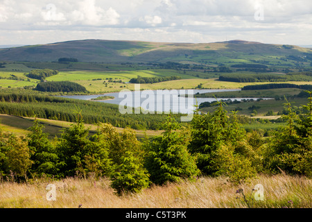 Serbatoio di scorte nel trogolo di Bowland, Lancashire, Regno Unito. Foto Stock