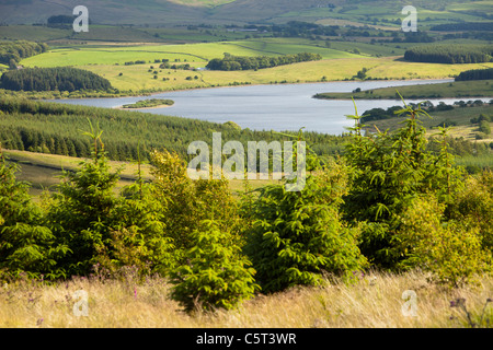 Serbatoio di scorte nel trogolo di Bowland, Lancashire, Regno Unito. Foto Stock