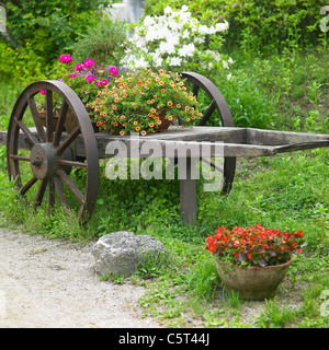 Giardino Foto Stock