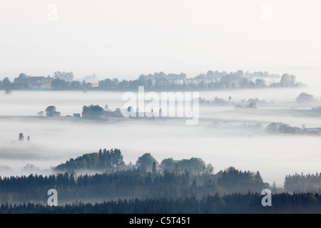 In Germania, in Baviera, Baviera superiore, vista da Hohenpeissenberg del paesaggio con nebbia di mattina Foto Stock