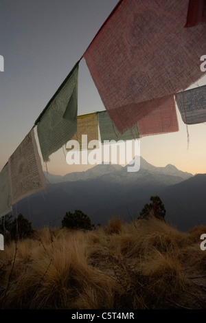 Sunrise e bandiere di preghiera su Poon Hill guardando verso sud di Annapurna e Machhapuchhare o coda di pesce mountain Foto Stock