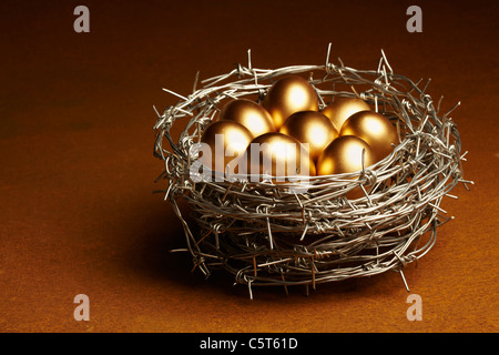 Nido Concetto di uovo che simboleggia la sicurezza Foto Stock