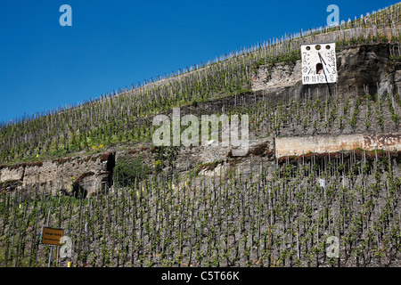 In Germania, in Renania Palatinato, Bernkastel-Kues, Sun Dial in vigna Foto Stock