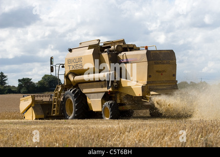 New Holland TX65 Mietitrebbia la mietitura del frumento in Norfolk,UK. Foto Stock