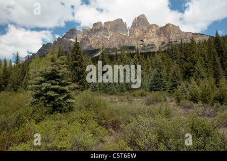 Castello montagna nel Parco Nazionale di Banff Foto Stock