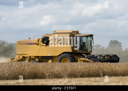 New Holland TX65 Mietitrebbia la mietitura del frumento in Norfolk,UK. Foto Stock