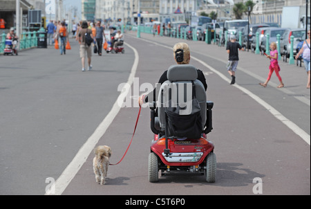 Una signora sul suo scooter di mobilità prende il suo cane per una passeggiata lungo la Brighton Seafront nel caldo Meteo oggi Foto Stock