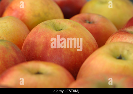 Mele (malus domestica), close up Foto Stock