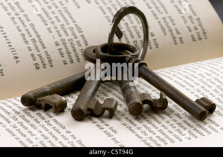 Tasti su keyring giacente sul libro aperto Foto Stock