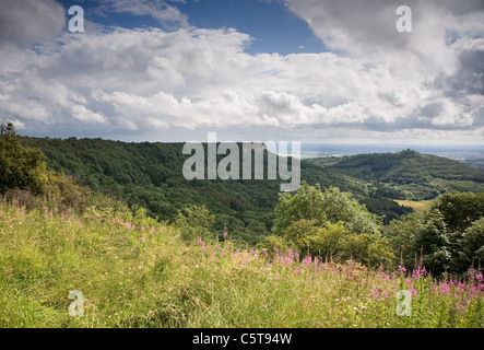 Roulston cicatrice e cappa Hill da Sutton Bank top Foto Stock