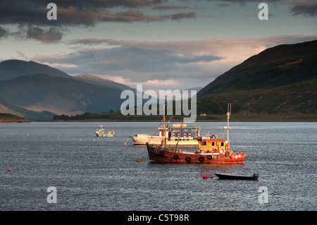 Ullapool Harbour con ormeggiate barche da pesca Foto Stock