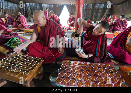 Ragazzo monaco buddista esegue la cerimonia del tè in estate peli di cavallo tenda, Arou Ba tempio, Qilian, Provincia di Qinghai, Cina Foto Stock