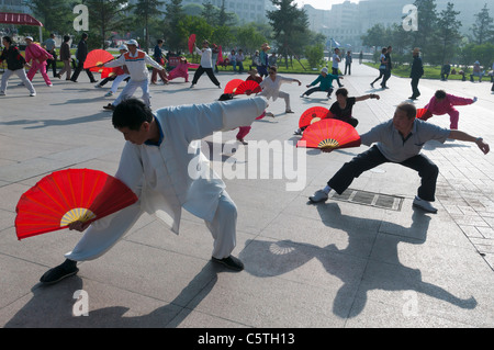 Seniors eseguire la mattina presto il Tai Chi, nel parco cittadino, Xining, Provincia di Qinghai, Cina Foto Stock