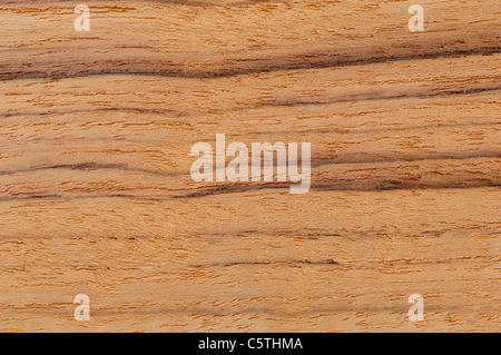 Superficie di legno, legno di Teak (Tectona grandis) frame completo Foto Stock
