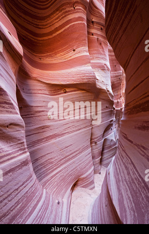 Stati Uniti d'America, Utah, Scalone Escalante National Monument, Zebra slot, close-up Foto Stock