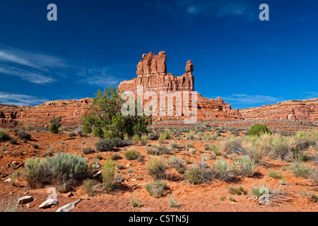 Stati Uniti d'America, Utah, la Valle degli Dèi, scenario desertico Foto Stock