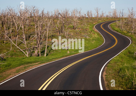 Stati Uniti d'America, Colorado, Mesa Verde Nationalpark, strada vuota avvolgimento attraverso il paesaggio Foto Stock