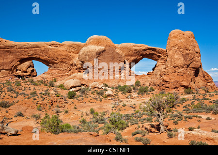 Stati Uniti d'America, Utah, Arches National Park, Windows sezione, a nord e a sud di Windows Foto Stock