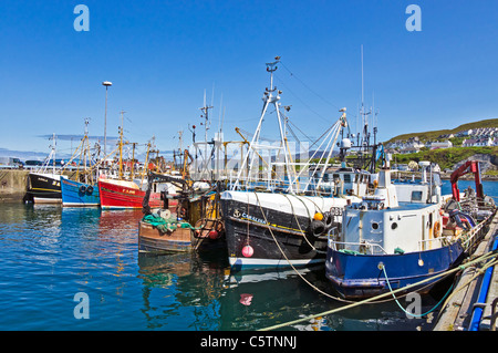 Barche da pesca ormeggiate nel porto di Mallaig nel West Highlands della Scozia Foto Stock