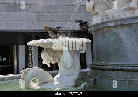 Fontana con statue di fronte il palazzo del parlamento, Vienna, Austria, Europa, giugno 2011 Foto Stock