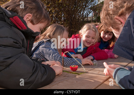 I bambini della scuola elementare imparare circa la natura Foto Stock