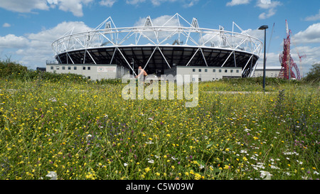 Nigel Dunnet fiori selvatici che crescono in giardino e il ciclista sul percorso dello Stadio Olimpico con fiori di campo estivo in primo piano Londra Inghilterra UK Luglio 2011 Foto Stock