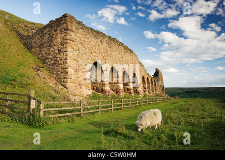 Il ironstone forni presso il sito di Rosedale miniera Est Foto Stock