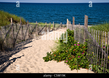 Le dune di sabbia e neve recinzione presso la Ryder Beach a Truro, Massachusetts Foto Stock