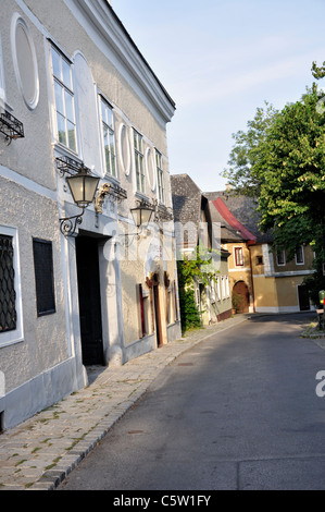 Street a Grinzing Vienna Austria Europa Giugno 2011 Foto Stock