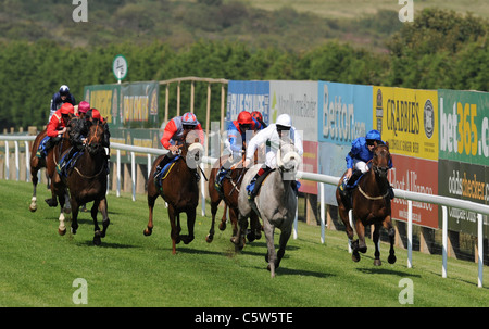 Conciliante cavalcato da Adam Beschizza capi home un grande campo per vincere il John Smiths miglio sul primo giorno del Brighton Gare Foto Stock