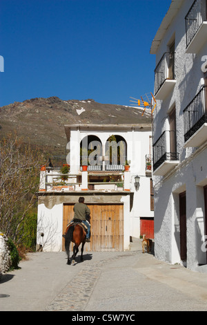 Enti locali di equitazione in Ohanes village a La Alpujarra mountains, Andalusia, Spagna Foto Stock