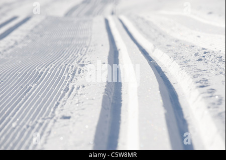 Austria, Tirolo, Seefeld, Wildmoosalm, piste da sci in neve, frame completo Foto Stock