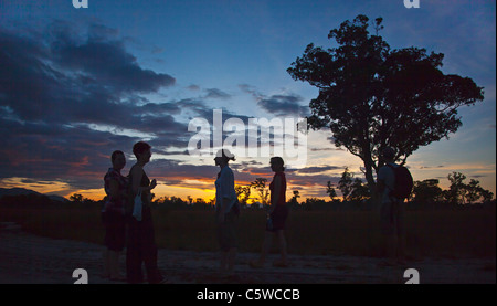 Volontari godere di un tramonto che silhouttes alberi in un unico ecosysetm savana di KOH PHRA THONG ISOLA, Thailandia Foto Stock