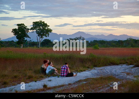 Volontari godere di un tramonto che silhouttes alberi in un unico ecosysetm savana di KOH PHRA THONG ISOLA, Thailandia Foto Stock