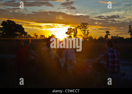 Volontari godere di un tramonto che silhouttes alberi in un unico ecosysetm savana di KOH PHRA THONG ISOLA, Thailandia Foto Stock