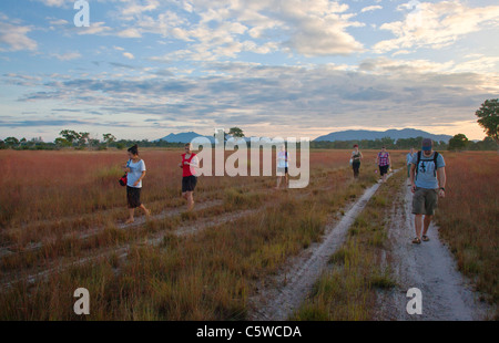 I turisti all'alba nella savana unico ecosistema di KOH PHRA THONG ISOLA, Thailandia Foto Stock